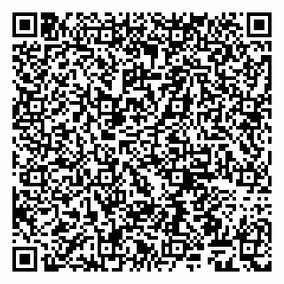 vCard 79509263271