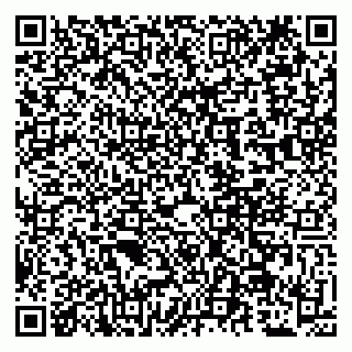 vCard 79509263293