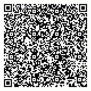 vCard 79509267331