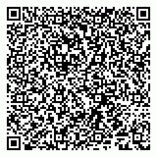 vCard 79509280403