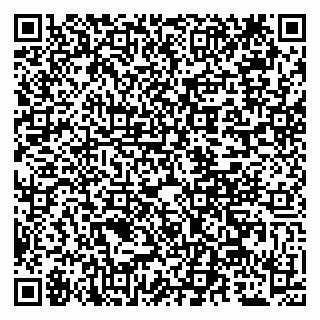 vCard 79509281175