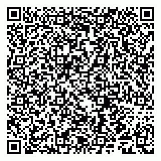 vCard 79509281473