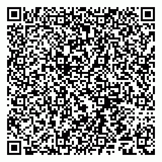 vCard 79509283333