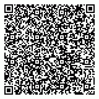 vCard 79509287131