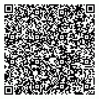 vCard 79509287939