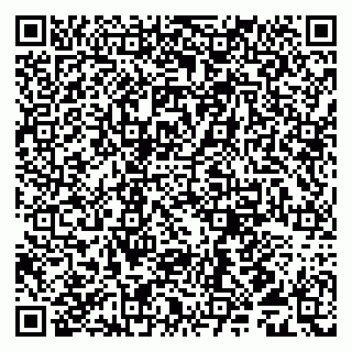 vCard 79509290173