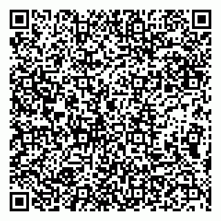 vCard 79509291739