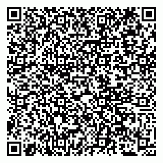 vCard 79509297538