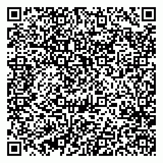 vCard 79510600387