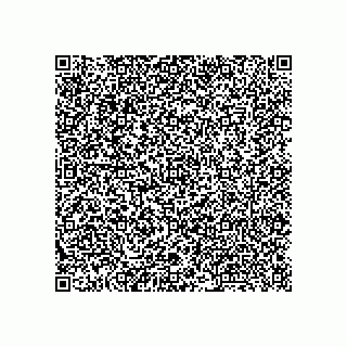 vCard 79511951373