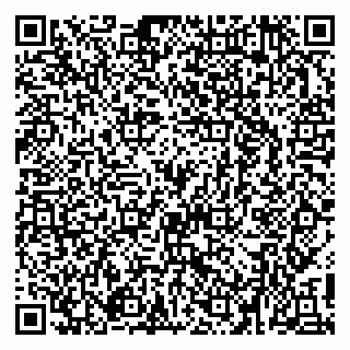 vCard 79512664131