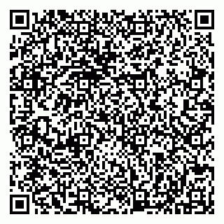 vCard 79513099602