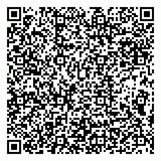 vCard 79513099617