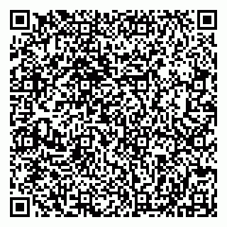 vCard 79513099629