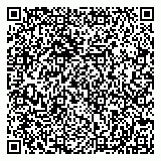 vCard 79513099700