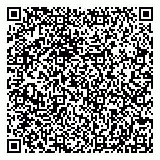 vCard 79513099702