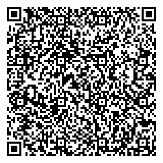 vCard 79513099705