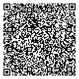 vCard 79513099709