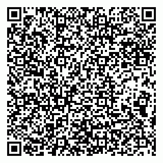 vCard 79513099724