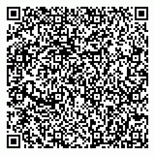 vCard 79513099731