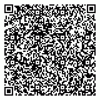 vCard 79513099735