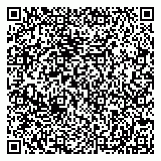vCard 79513099740