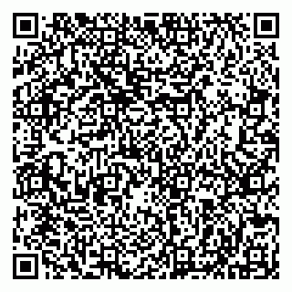 vCard 79513099779