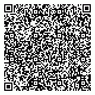 vCard 79513099794