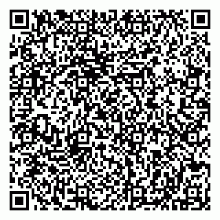 vCard 79513099804
