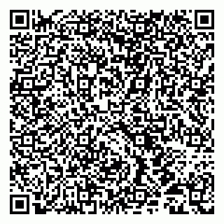 vCard 79513099876