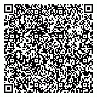 vCard 79513099880