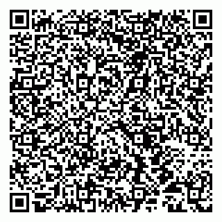 vCard 79513099963