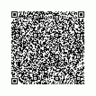 vCard 79519660416
