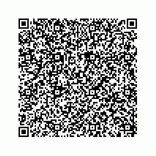 vCard 79519663005