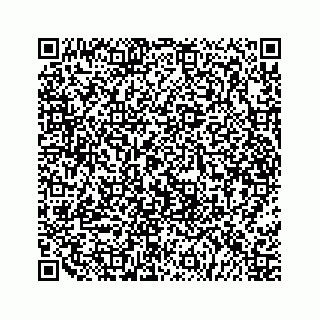 vCard 79519663145