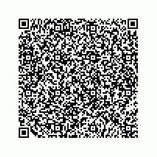 vCard 79519663296