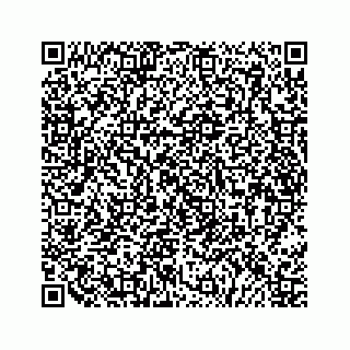 vCard 79519755392