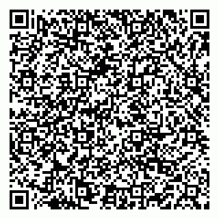 vCard 79519883130