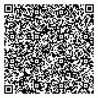 vCard 79519883133