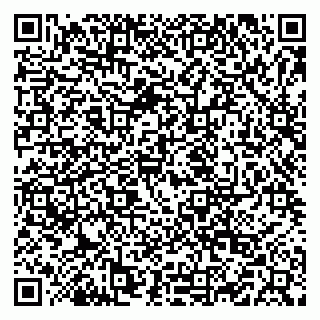 vCard 79519887231