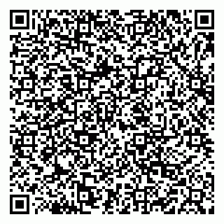 vCard 79519887307