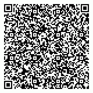vCard 79519906038