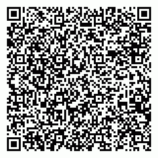 vCard 79519917220