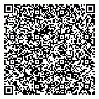 vCard 79519917372