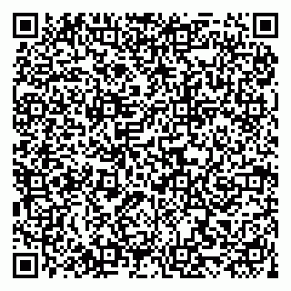 vCard 79519918003