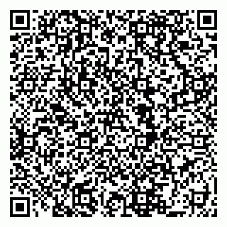 vCard 79519918041