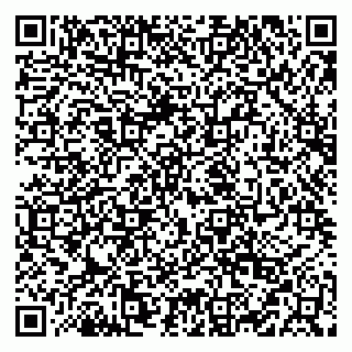 vCard 79519918207