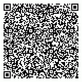 vCard 79519919903