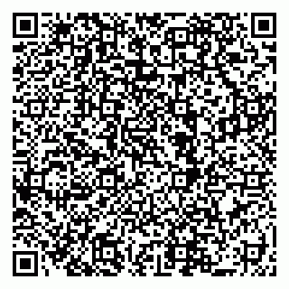 vCard 79519919913