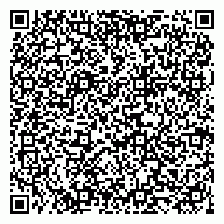 vCard 79519919938